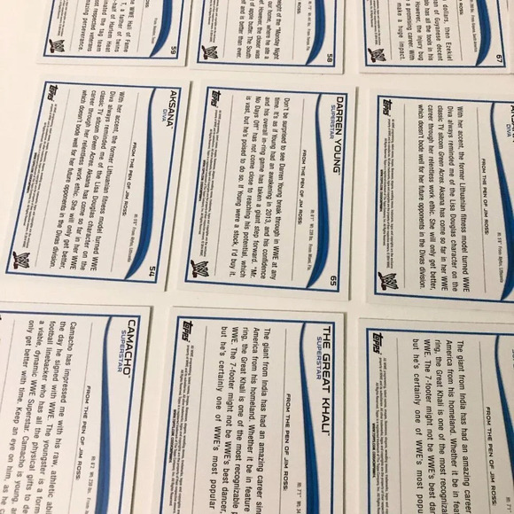 2014  WWE Topps Lot of 68 Wrestling Cards Superstar Legend Diva - Picture 7 of 16